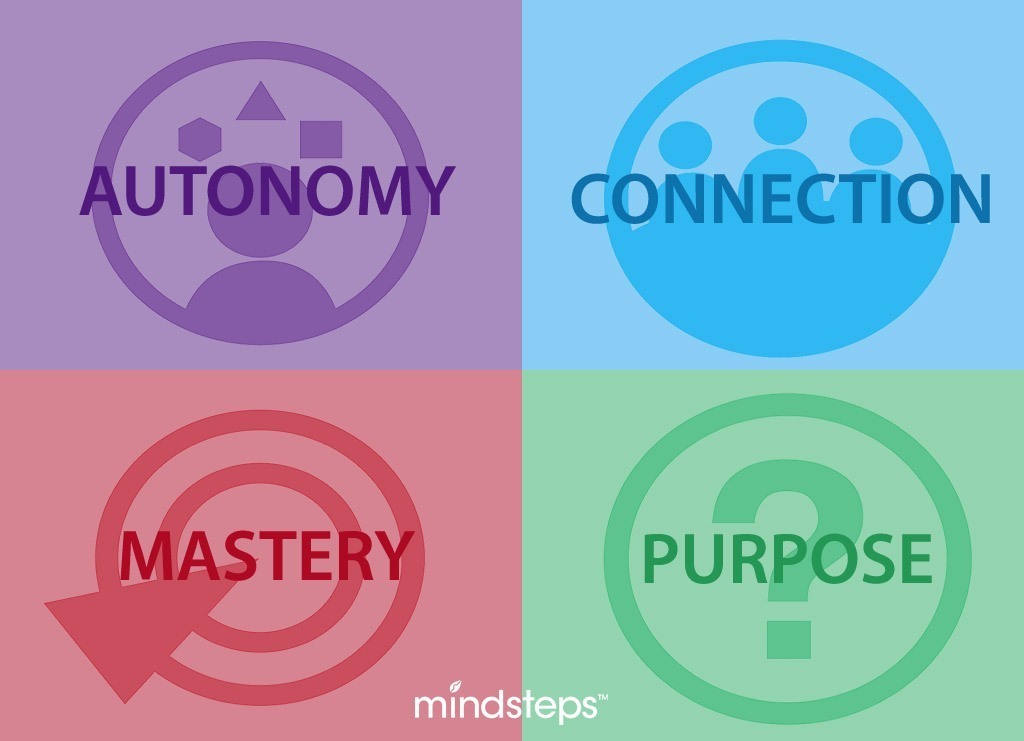 4 Will Drivers_Mindsteps